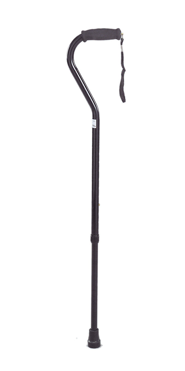 Single Point Cane