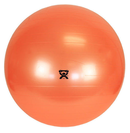 CanDo Exercise Balls Fabrication Enterprises Inc - AskSAMIE: Answers for Accessibility