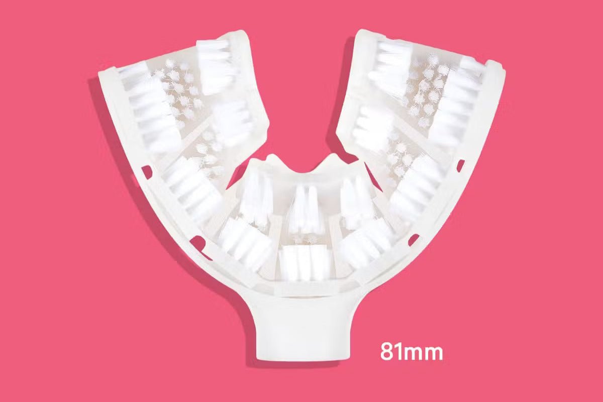 Adult Large SymplBrush bristle cradle measuring 81 mm across, the wider of the two sizes included in the Starter Kit.