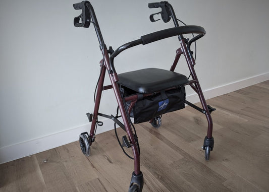 Video Training: Walkers Higher Standards Caregiver Training - AskSAMIE: Answers for Accessibility