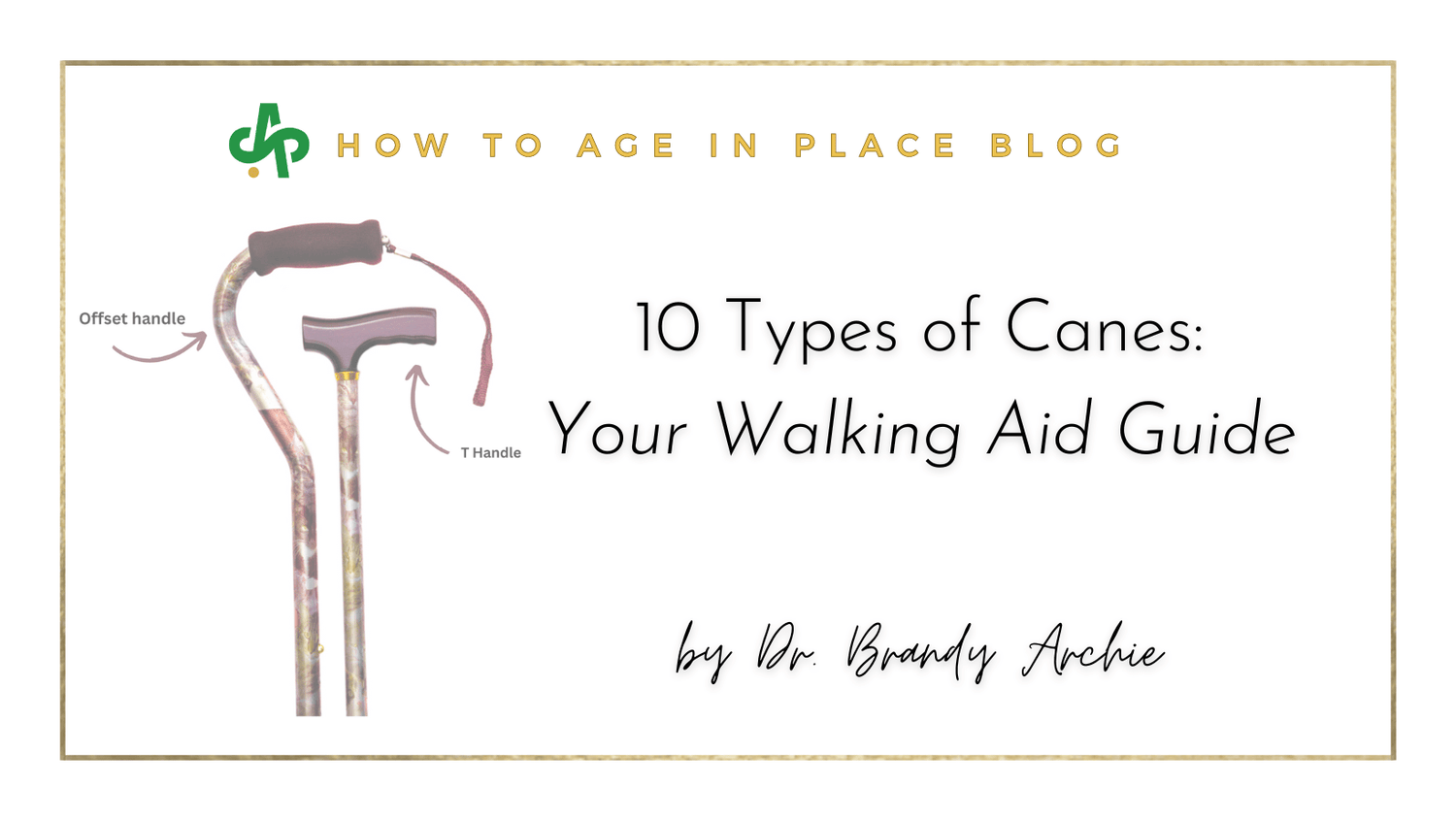 10 Types Of Canes: Your Walking Aid Guide – AskSAMIE: Answers for ...
