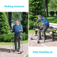 Platform Walker | 2 Arm Supports