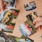 Hodeeay cards | Dementia friendly activity