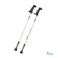 Activator Poles | Walking Sticks Help with Parkinson's Urban Poling Inc. - AskSAMIE: Answers for Accessibility