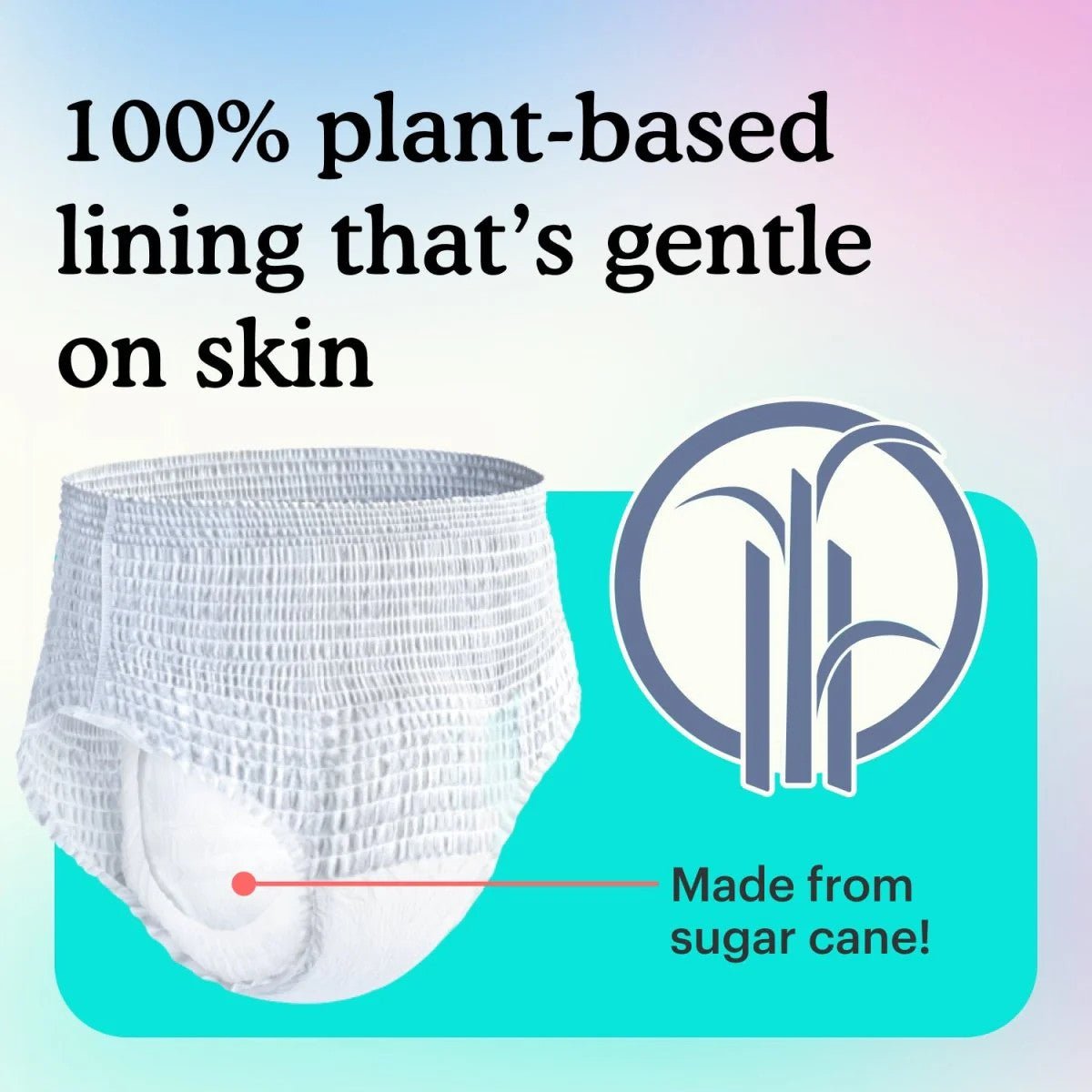 Because Sensitive Overnight Underwear for Women Because Market - AskSAMIE: Answers for Accessibility