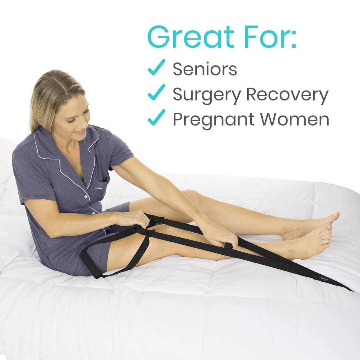 Bed Ladder Vive Health - AskSAMIE: Answers for Accessibility