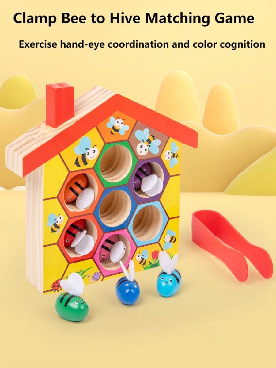 Beehive Matching Game AskSAMIE: Answers for Caregiving - AskSAMIE: Answers for Accessibility