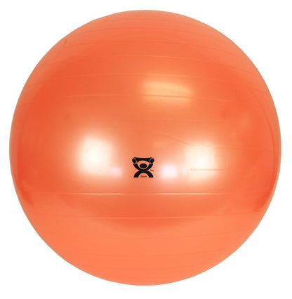 CanDo Exercise Balls Fabrication Enterprises Inc - AskSAMIE: Answers for Accessibility