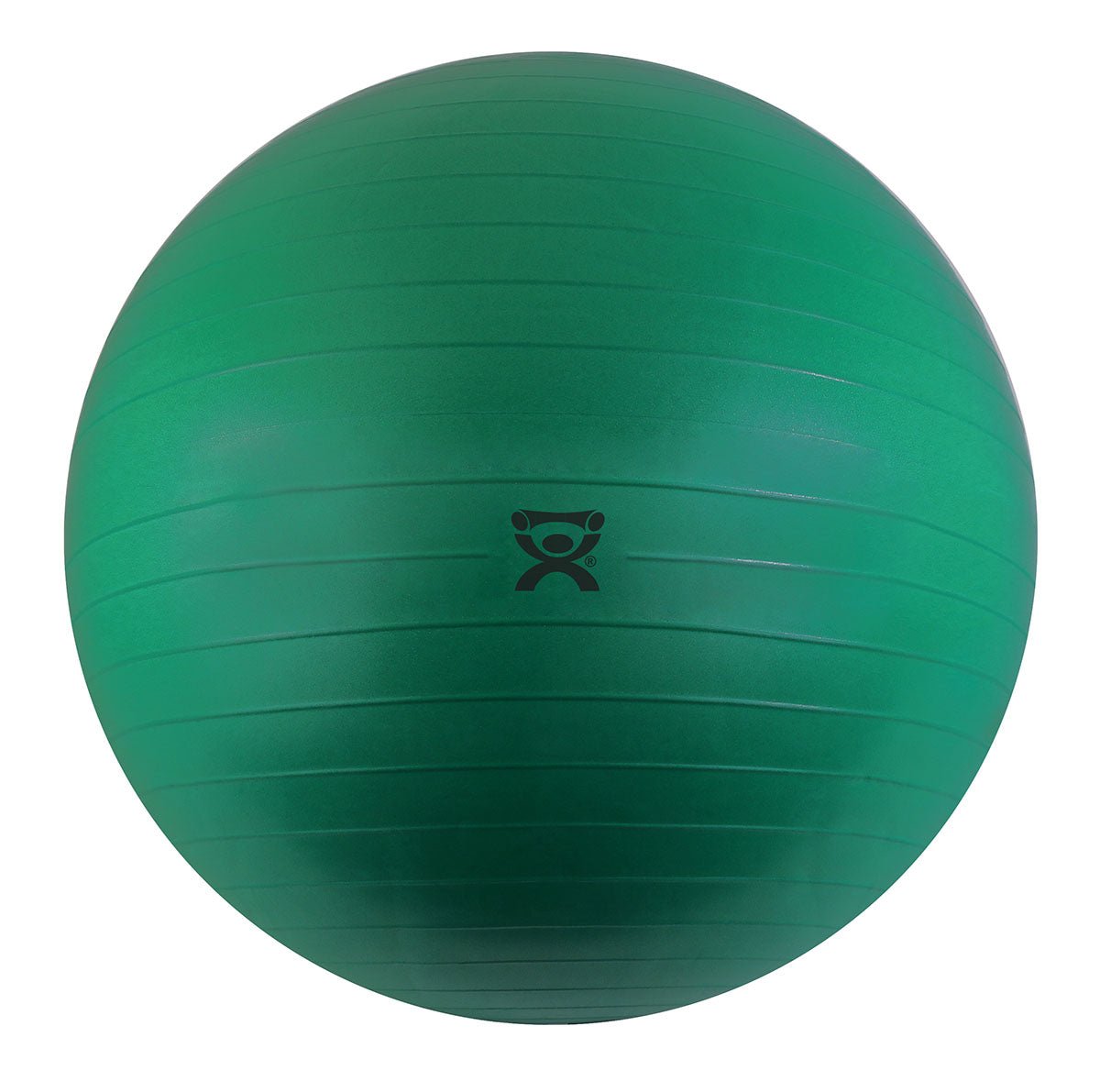 CanDo Exercise Balls Fabrication Enterprises Inc - AskSAMIE: Answers for Accessibility