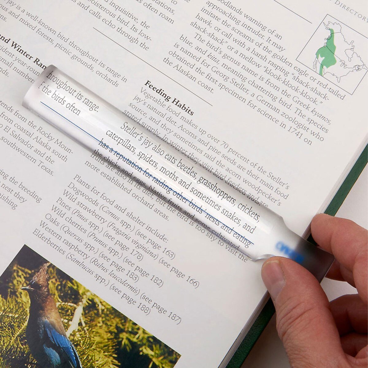 Carson MagniRead™ 1.5x Bar Magnifier Chadwick Optical - AskSAMIE: Answers for Accessibility
