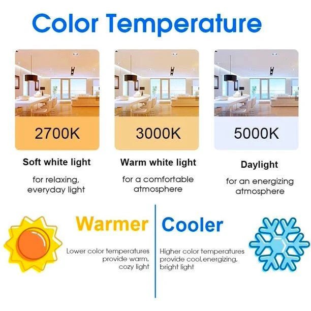 Daylight LED Bulbs 5000K (4) AskSAMIE - AskSAMIE: Answers for Accessibility