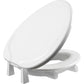 Elevated Toilet Seat Centoco - AskSAMIE: Answers for Accessibility