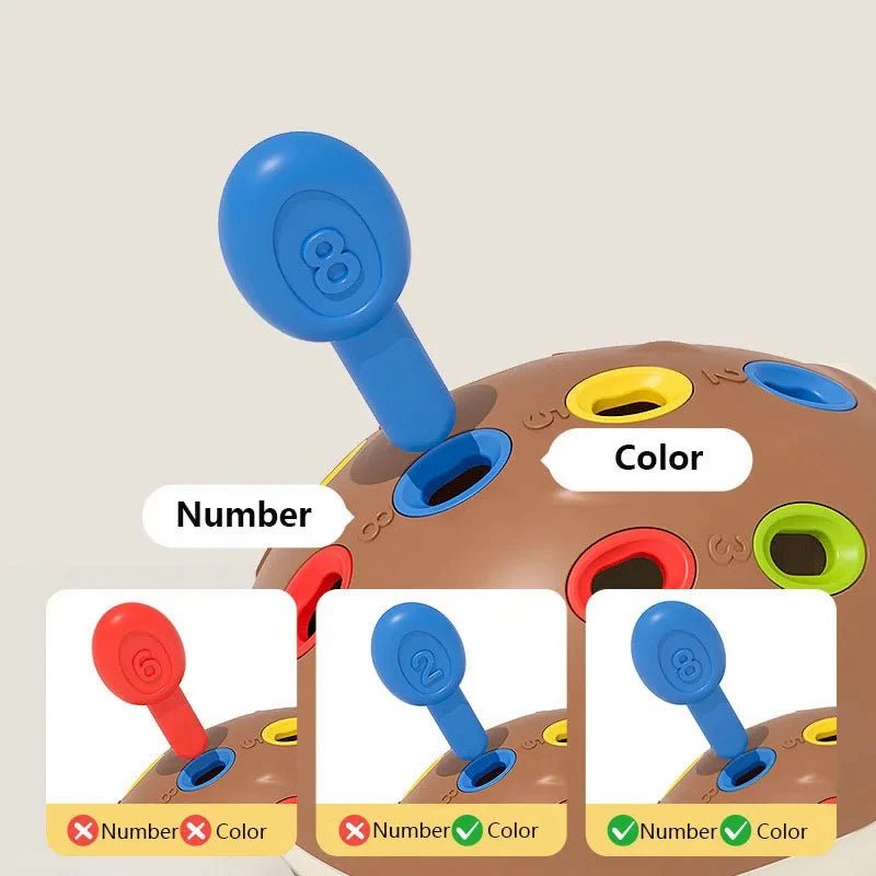 Fine Motor Hedgehog AskSAMIE: Answers for Caregiving - AskSAMIE: Answers for Accessibility