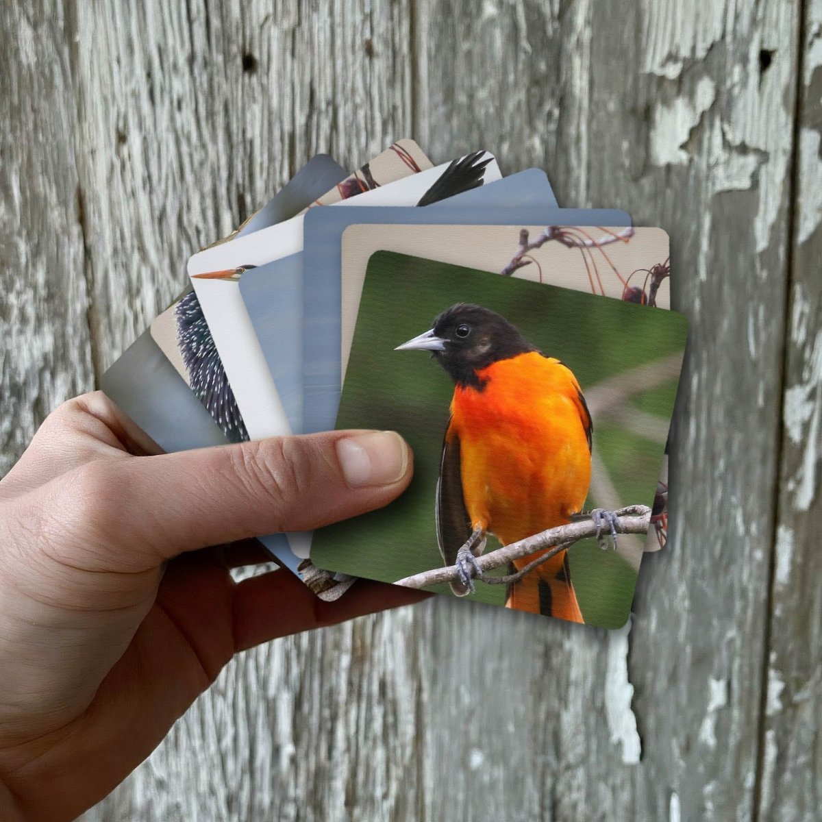 Hodeeay cards | Dementia friendly activity Hodeeay - AskSAMIE: Answers for Accessibility