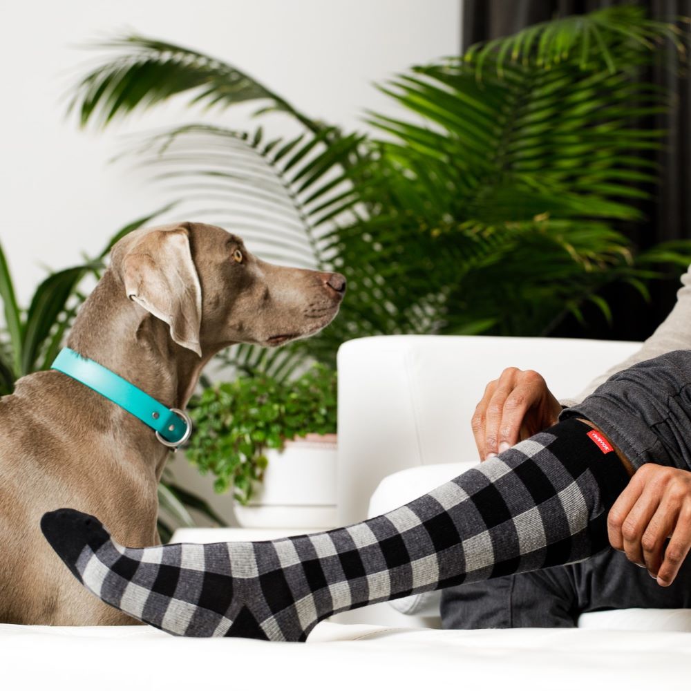 Montana Plaid (Cotton Compression Socks) VIM & VIGR - AskSAMIE: Answers for Accessibility