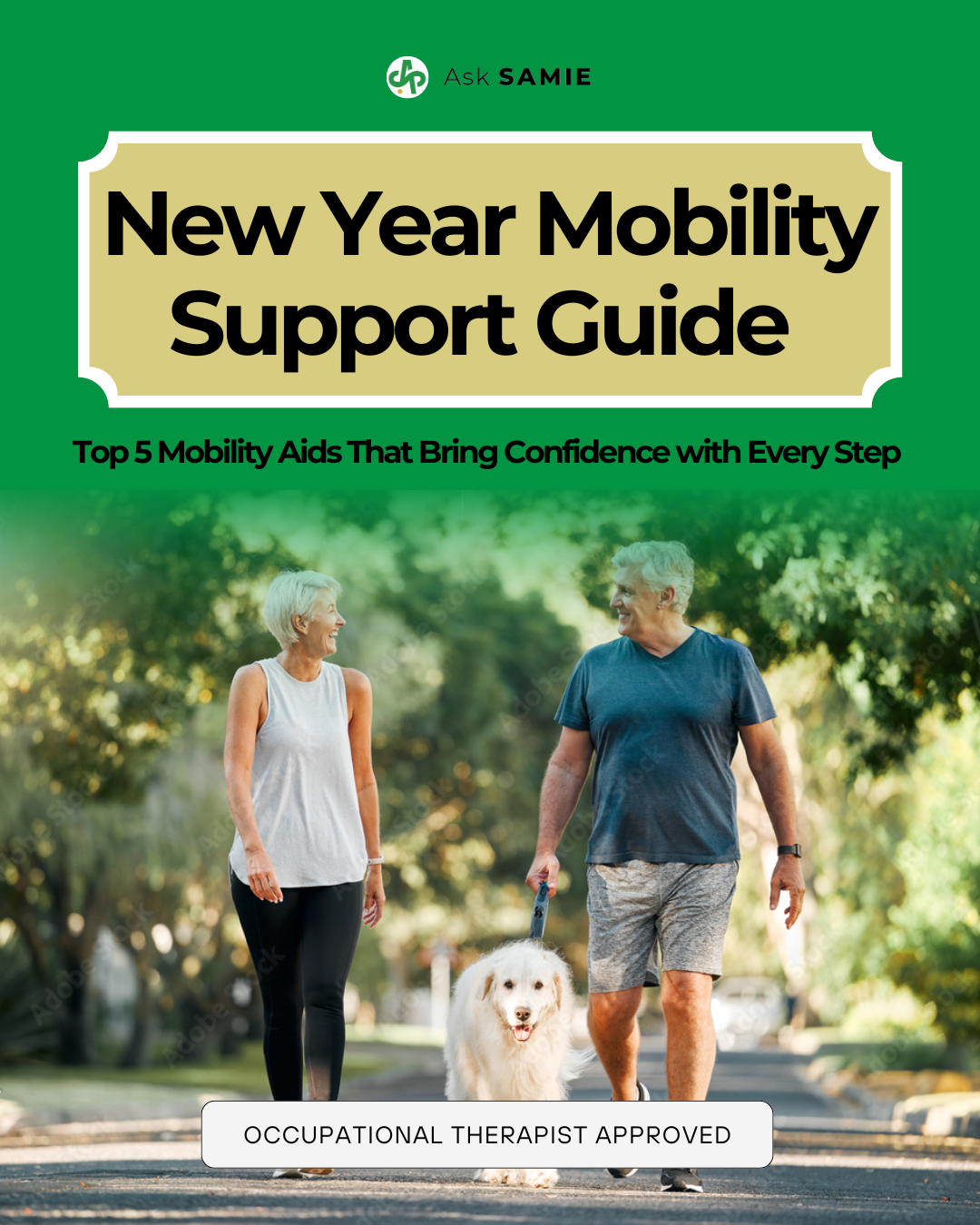 Preview of the guide