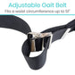 Padded transfer gait belt Vive Health - AskSAMIE: Answers for Accessibility