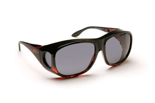 Solar Shield Tinted Glasses Eschenbach - AskSAMIE: Answers for Accessibility