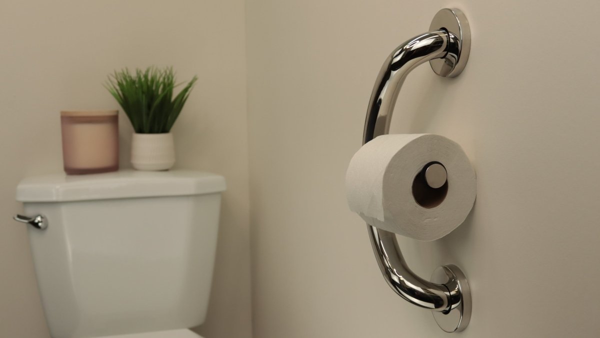 Toilet Paper Holder Grab Bar Health Craft - AskSAMIE: Answers for Accessibility