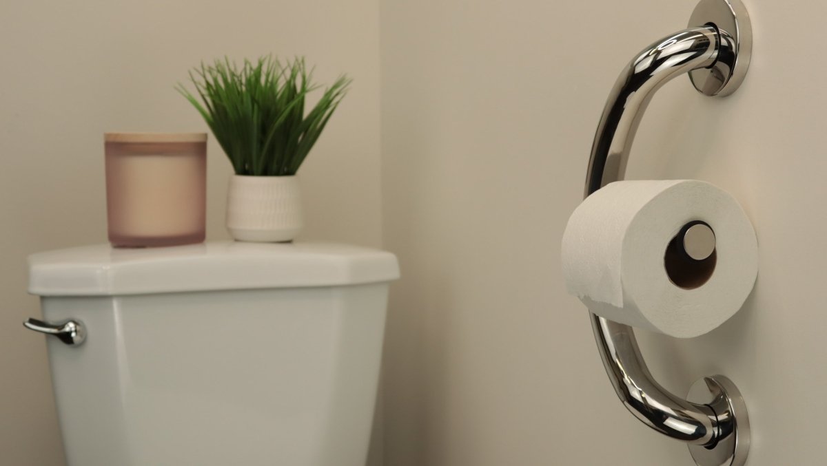 Toilet Paper Holder Grab Bar Health Craft - AskSAMIE: Answers for Accessibility