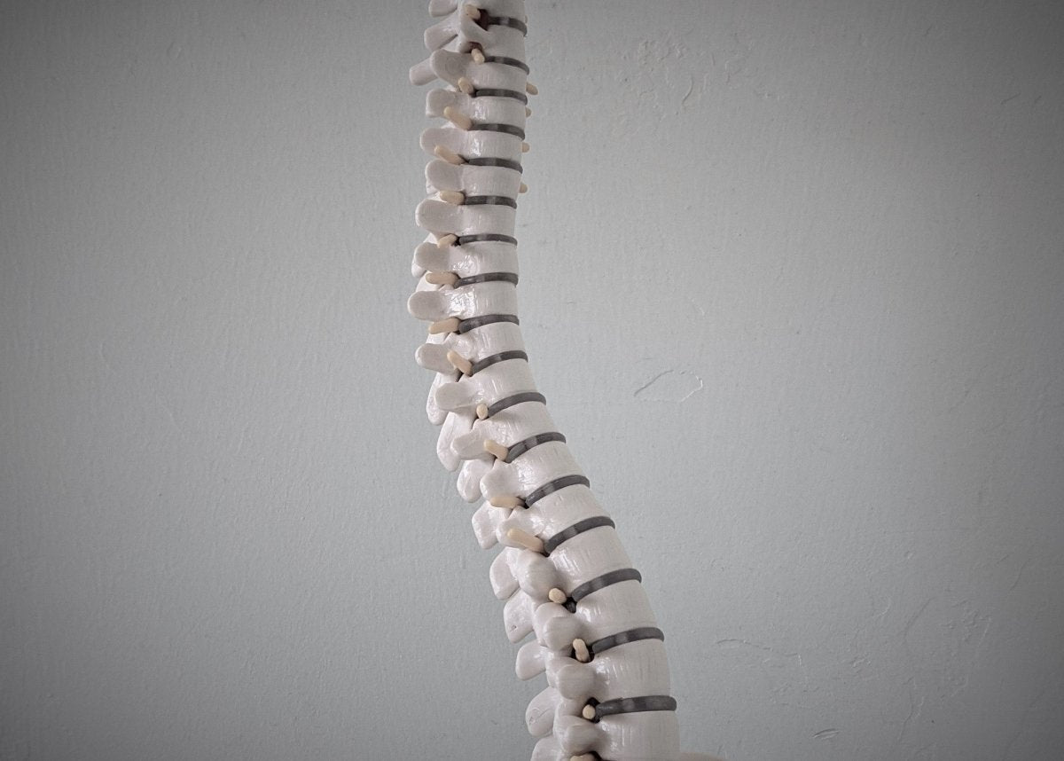 Video Training: Must know Rules for Safe Lifting Higher Standards Caregiver Training - AskSAMIE: Answers for Accessibility