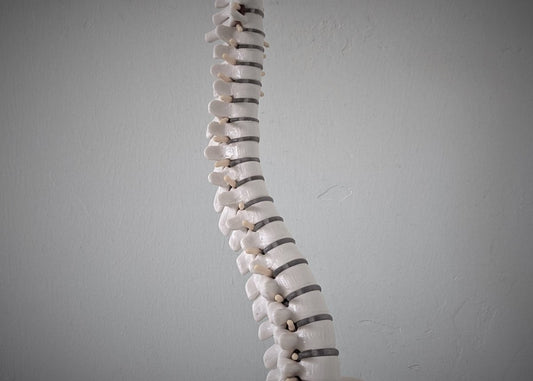 Video Training: Must know Rules for Safe Lifting Higher Standards Caregiver Training - AskSAMIE: Answers for Accessibility