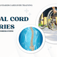 Video Training: Spinal Cord Injuries Higher Standards Caregiver Training - AskSAMIE: Answers for Accessibility
