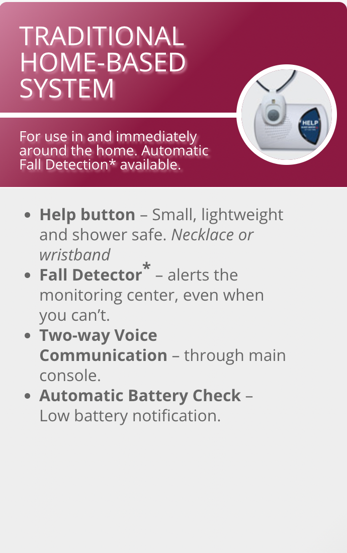 Alert Sentry Traditional Home Based system