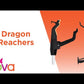 24" dragon brand reacher demo video on YouTube